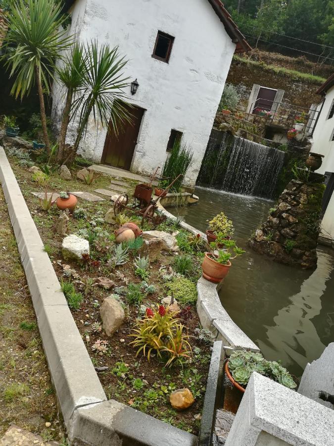 Casa Do Engenho Vendégház Caldas de Sao Jorge Kültér fotó